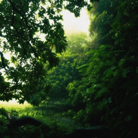 lush moments nomar.wav & Shalimar