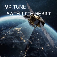 SATELLITE HEART - Single - Mr.Tune