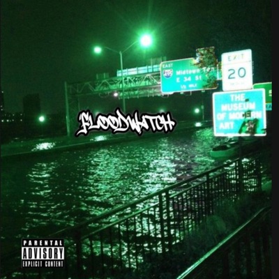FloodWatch (feat. BeesonBeFr) - Single