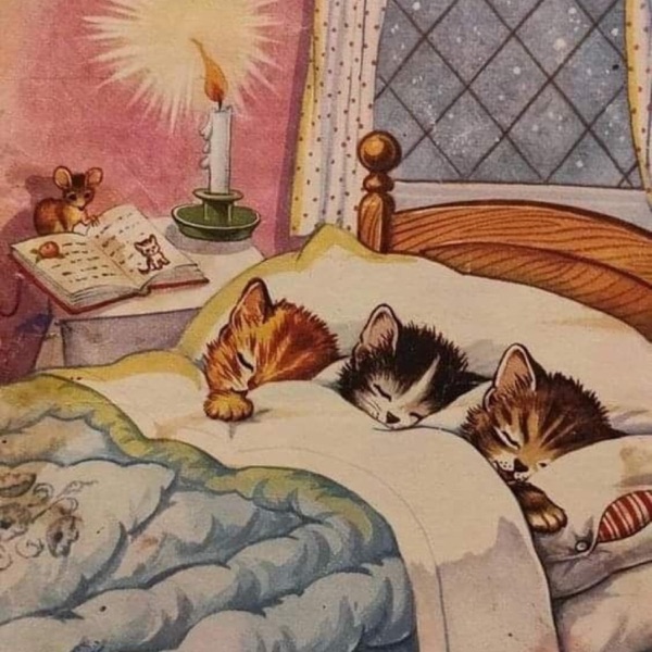 Gatinhos Dormindo - Single