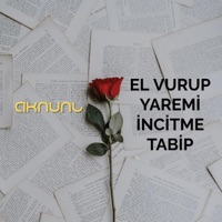 El Vurup Yaremi İncitme Tabip - Single - AKNUNL