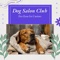 Animal Wellness - Dog Salon Club lyrics