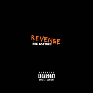 Revenge (Single Version)