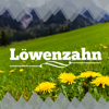 Löwenzahn - Liederblume