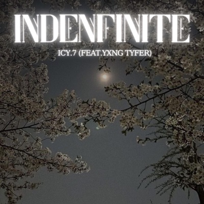 INDENFINITE (feat. Icy.7) - Single