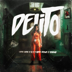 Delito (feat. Andry La H & Orikawa & Yampi Brown) [Remix]