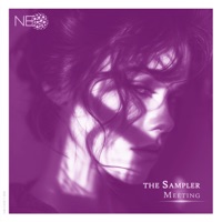 Meeting - Single - the Sampler