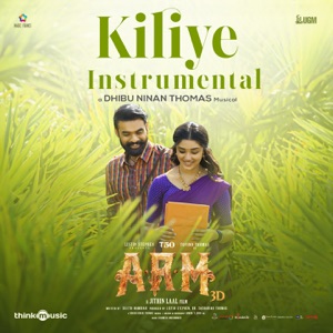 Kiliye Instrumental (From 