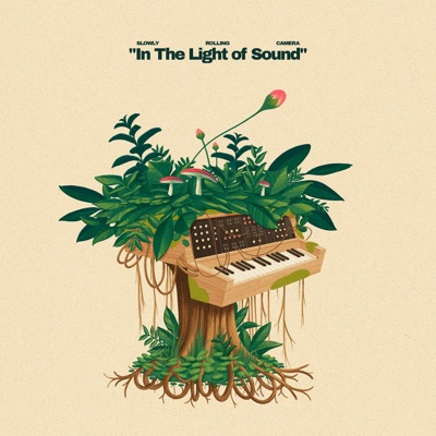 In The Light of Sound - Single
