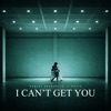 I Can't Get You