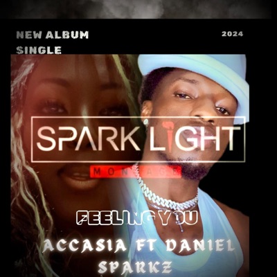 Feeling You (feat. Daniel Sparkz) [Radio Edit] - Single