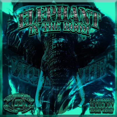 ELEPHANT IN THE ROOM - Single