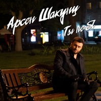 Ты не я - Single - Арсен Шахунц