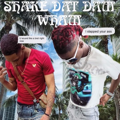 Shake Dat Dam Wham (feat. DK) - Single