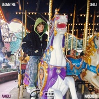 Geometrie Degli Angoli Nascosti - Monarca 451