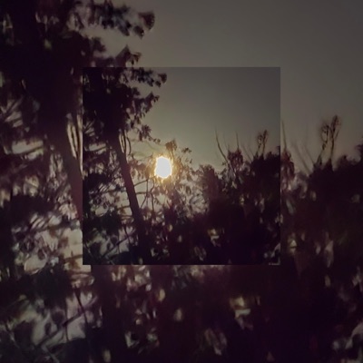 everynight (feat. NickyCaps) - Single