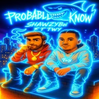 Probably Know (feat. Twy) - Single - shawzyboi