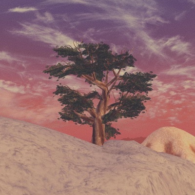 Nuclear Winner - Single