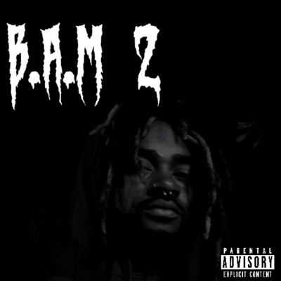 B.A.M 2