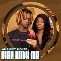 Vibe with me (feat. Molze) - Single - Amanii