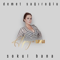 Sokul Bana (Alpay'a Saygı) - Single - Demet Sağıroğlu
