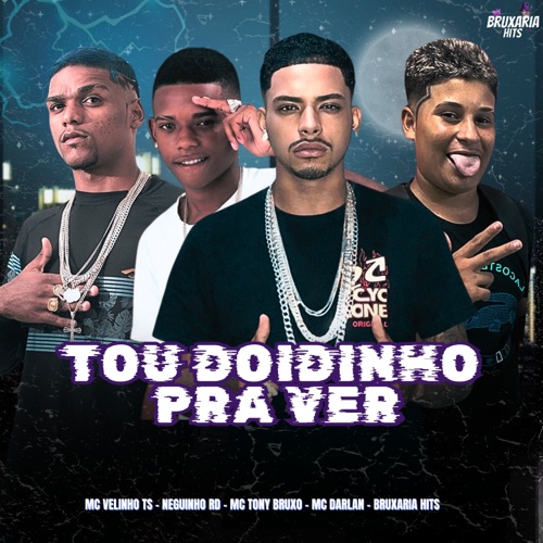 Tou Doidinho pra Ver (feat. Mc Velinho TS & MC Darlan)