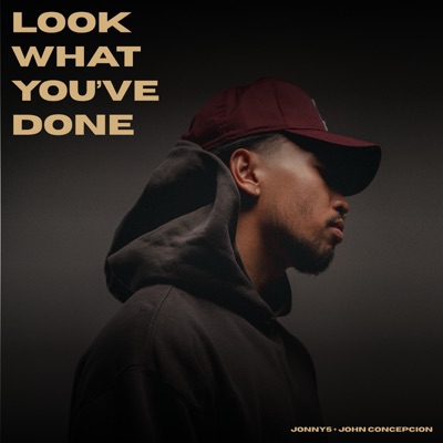 Look What You've Done - Single