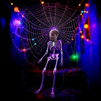 Pavučina snů - Single - DonNey