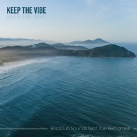 Keep The Vibe - Single - Brisadub Sounds & Tae Bernardelli