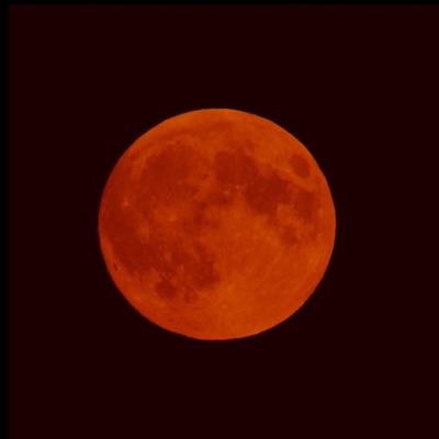 Shake It Off (feat. DrewFig) - Single