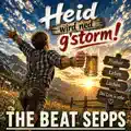 HEID WIRD NED G'STORM