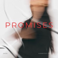 PROMISES (feat. Villero Z) - Single - Voortex