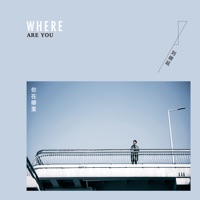 你在哪里 - Single - 刘继延