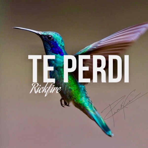 Te Perdí