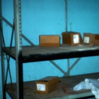 Veil - Single - DUSTY