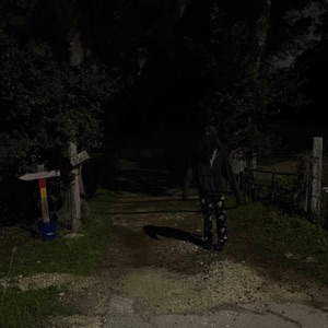 why can't you just come home (feat. Mookigang)