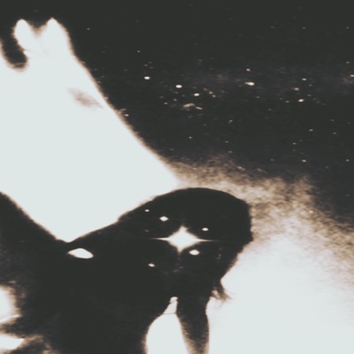 No Savior - Single