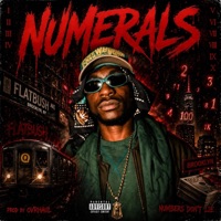 NUMERALS - Single - Mitchleading & OVRHAUL