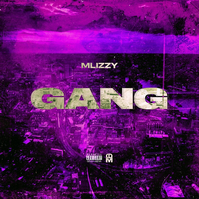 Im With The Gang Im With The Mob Gang - MLizzy: Song Lyrics, Music Videos & Concerts
