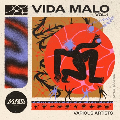Vida Malo, Vol. 1
