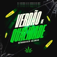 Verdão de Qualidade (feat. Dj Gordin Do MDP) - Single - DJ Lukinha, MC Rodrigo do CN & MC LORD HB