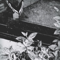 Everything About You - Single - Jay Adams