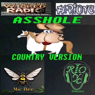 A$$Hole (country) - Single