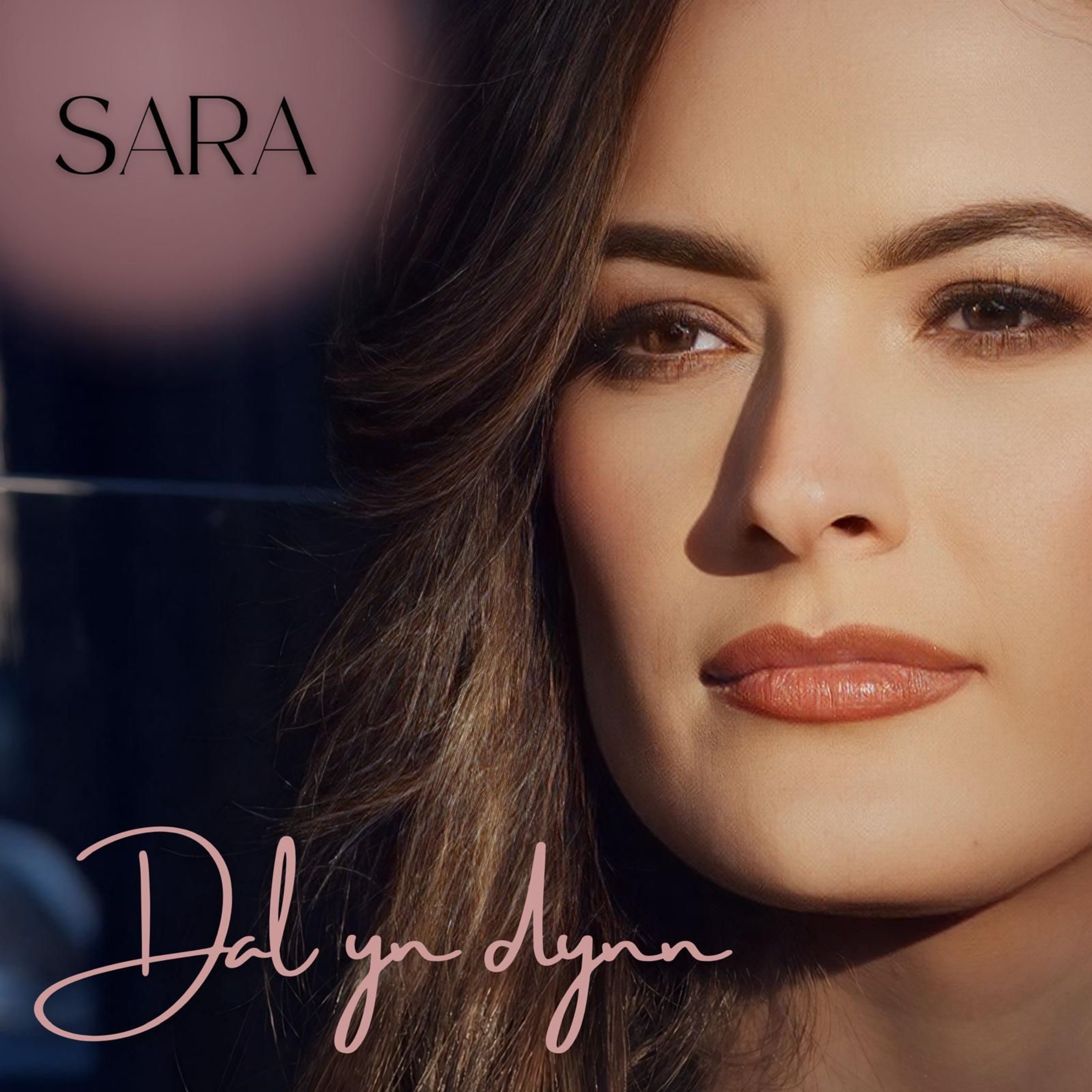 Dal yn Dynn - Single