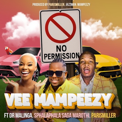 Song - No Permission (feat. Dr Malinga, Sphalaphala Saga Marothi & ParisMiller) - Vee Mampeezy