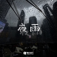 夜雨 - Single - Sky & 你给我的痛