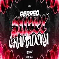 Perreo Super Chapiadora - Single - Fausttt rmx
