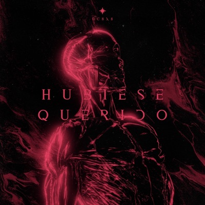 Hubiese Querido - EP