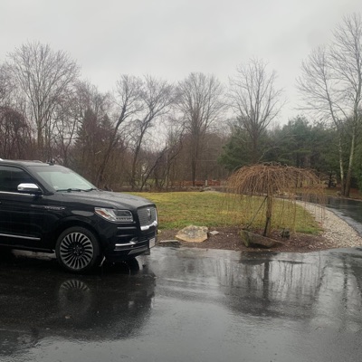 Yes, Im This Petty - Single