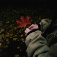 Вечное - Single - Саша Хлу